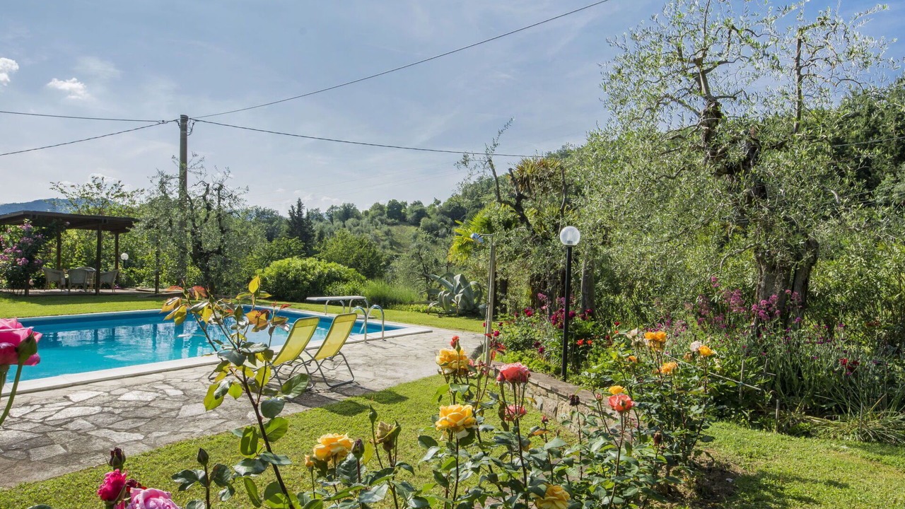 Photo of Outdoor in Rufina