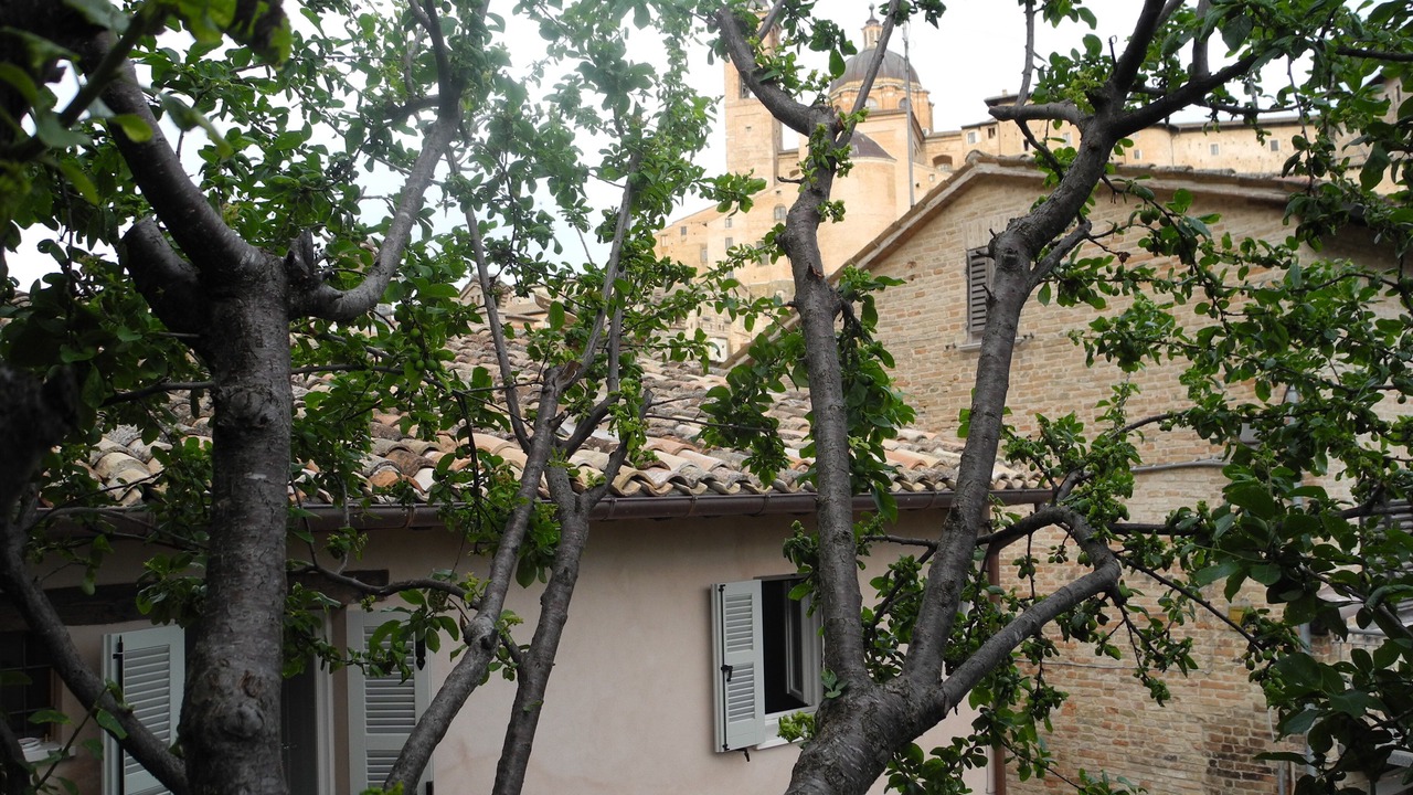 Photo of Outdoor in Urbino