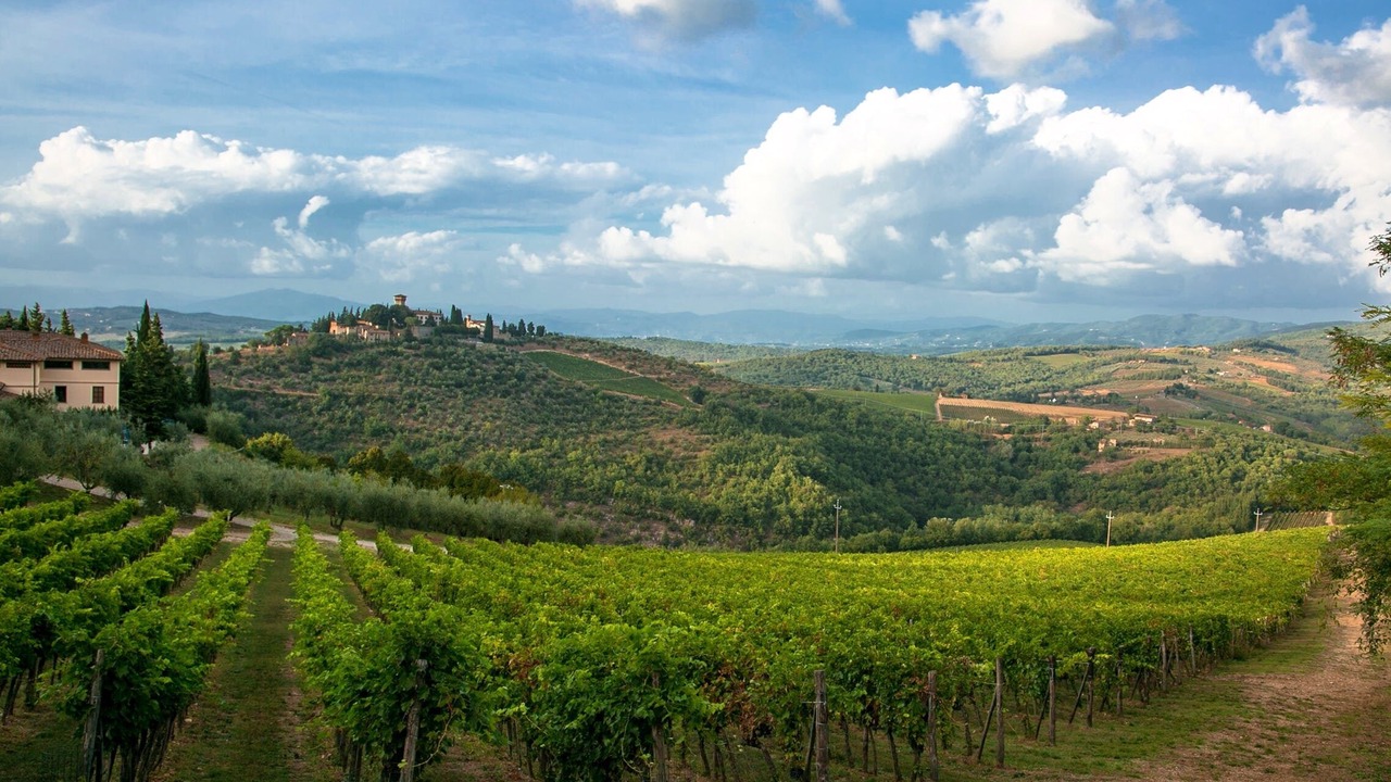 Photo of Outdoor in Gaiole in Chianti