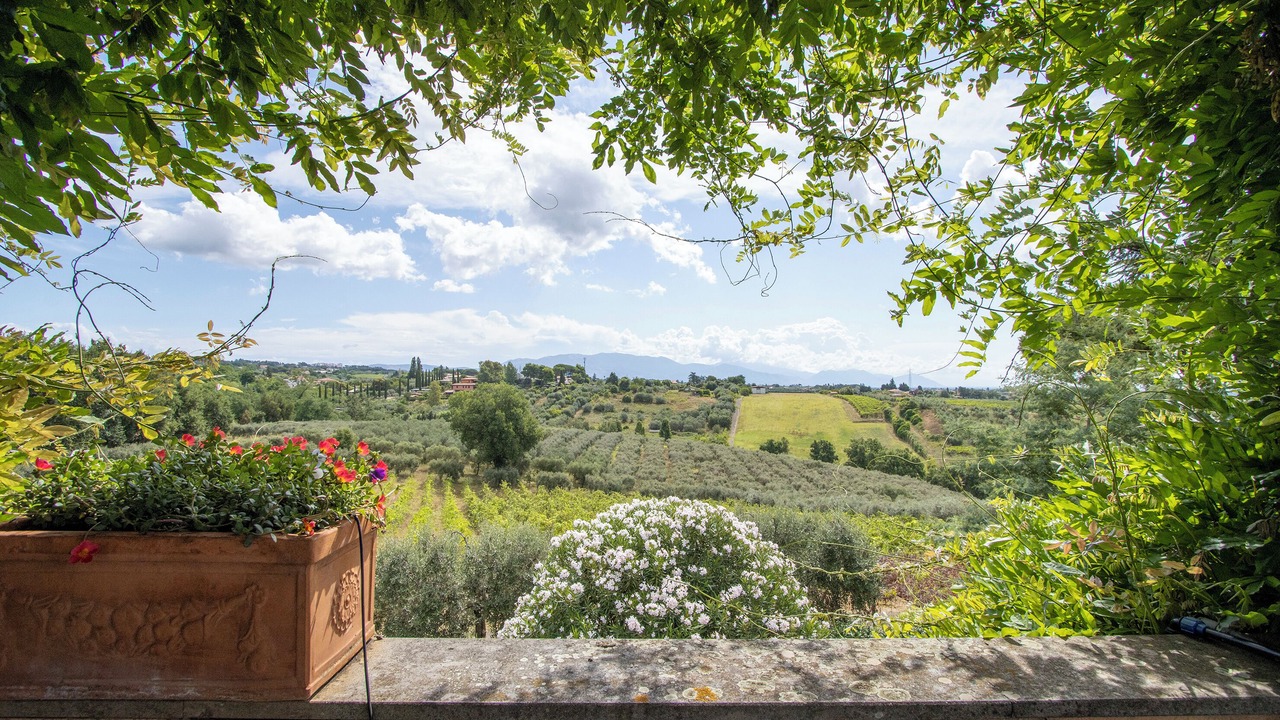 Photo of Outdoor in Padua