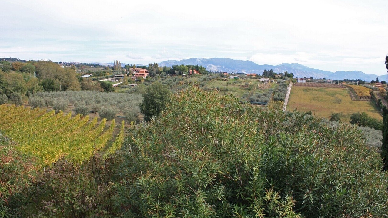 Photo of Outdoor in Padua