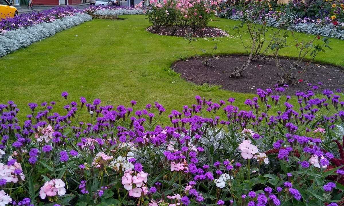 Photo of Outdoor in Haddington