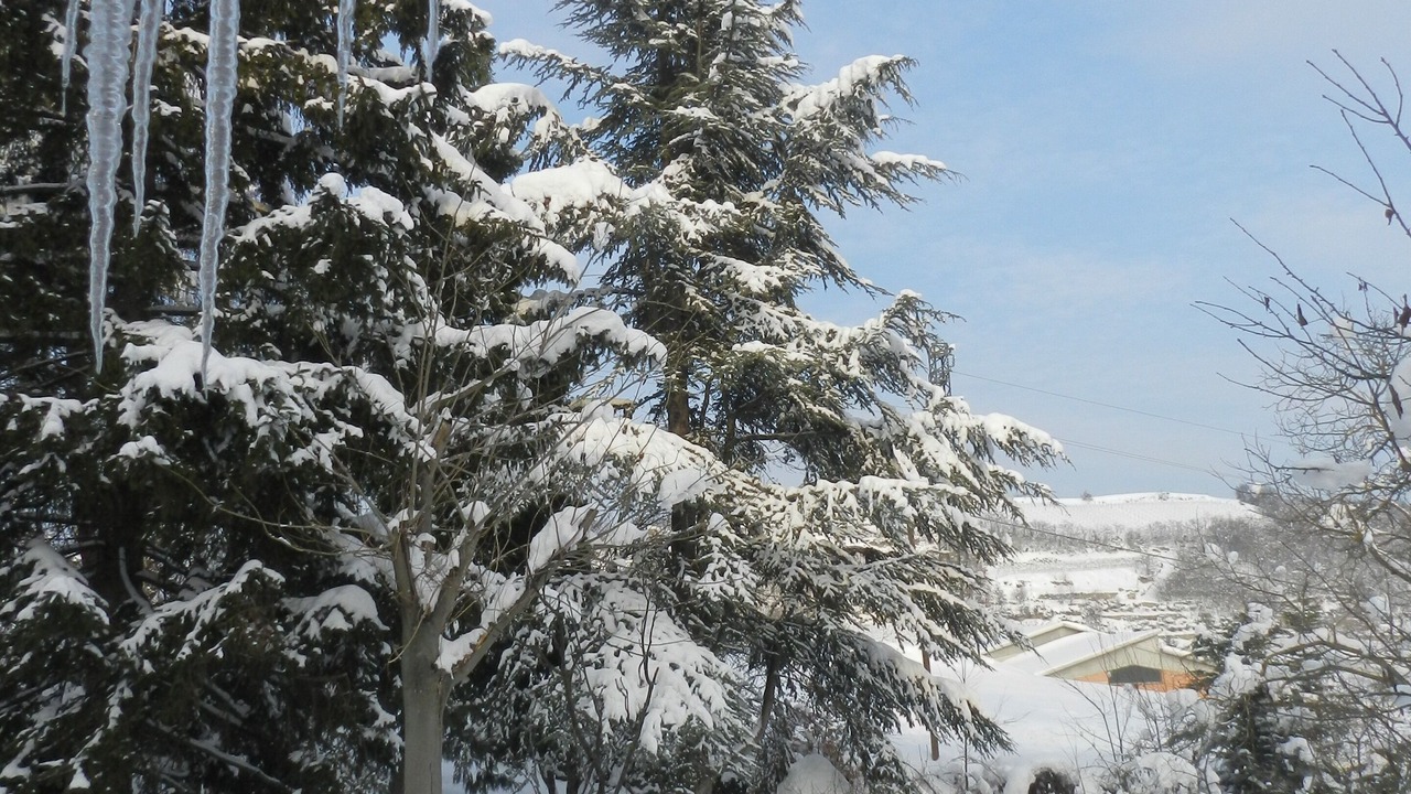 Photo of Outdoor in Vesime