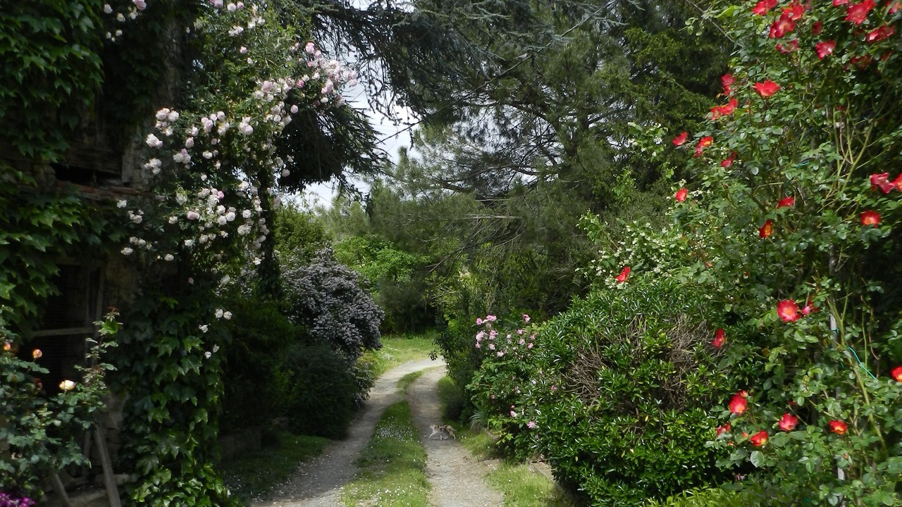 Photo of Outdoor in Vesime