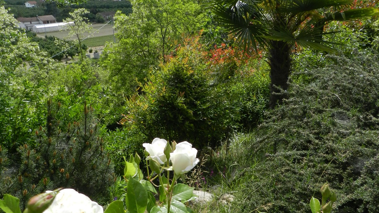 Photo of Outdoor in Vesime