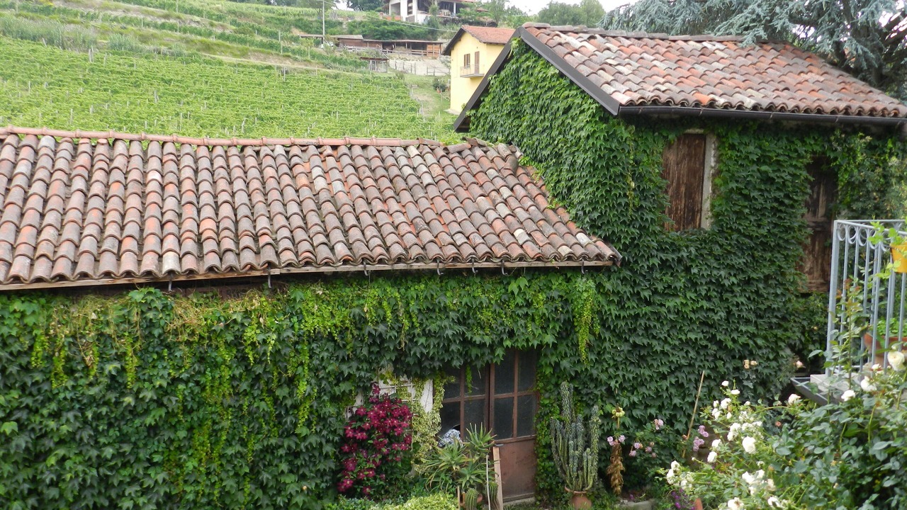 Photo of Outdoor in Vesime