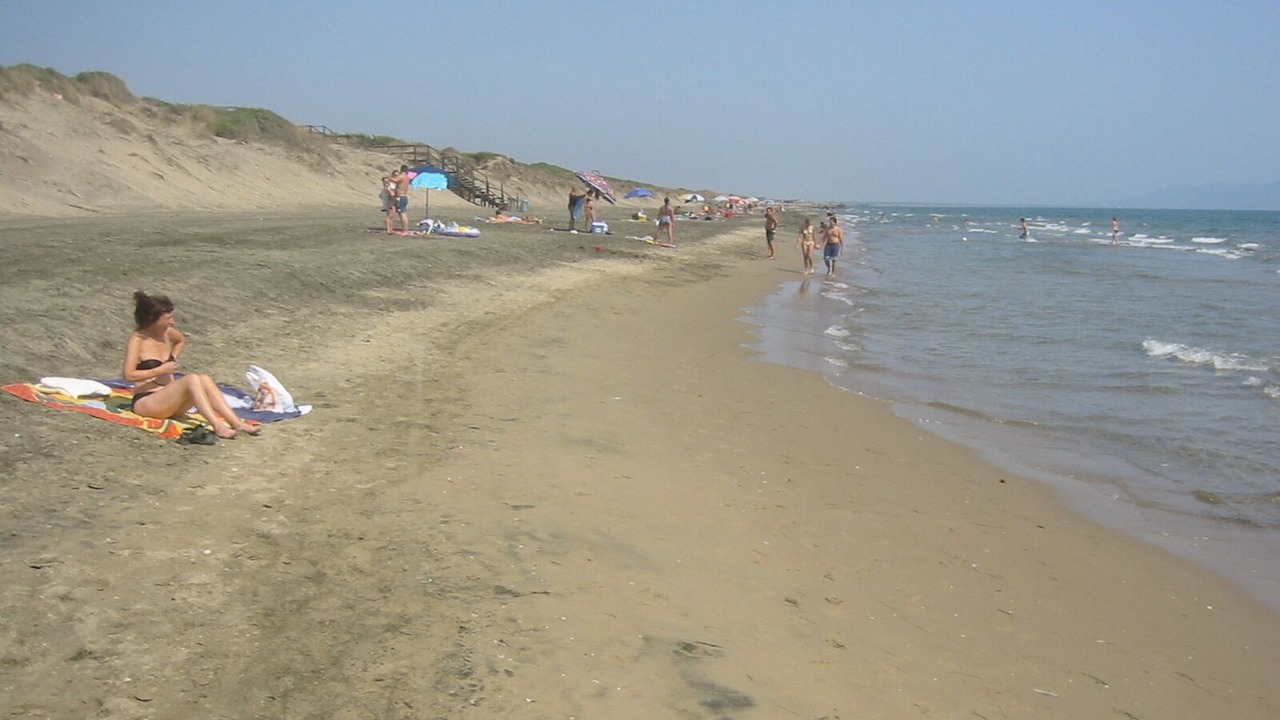 Photo of Others in Cori