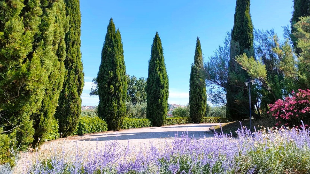 Photo of Outdoor in Acquaviva Picena
