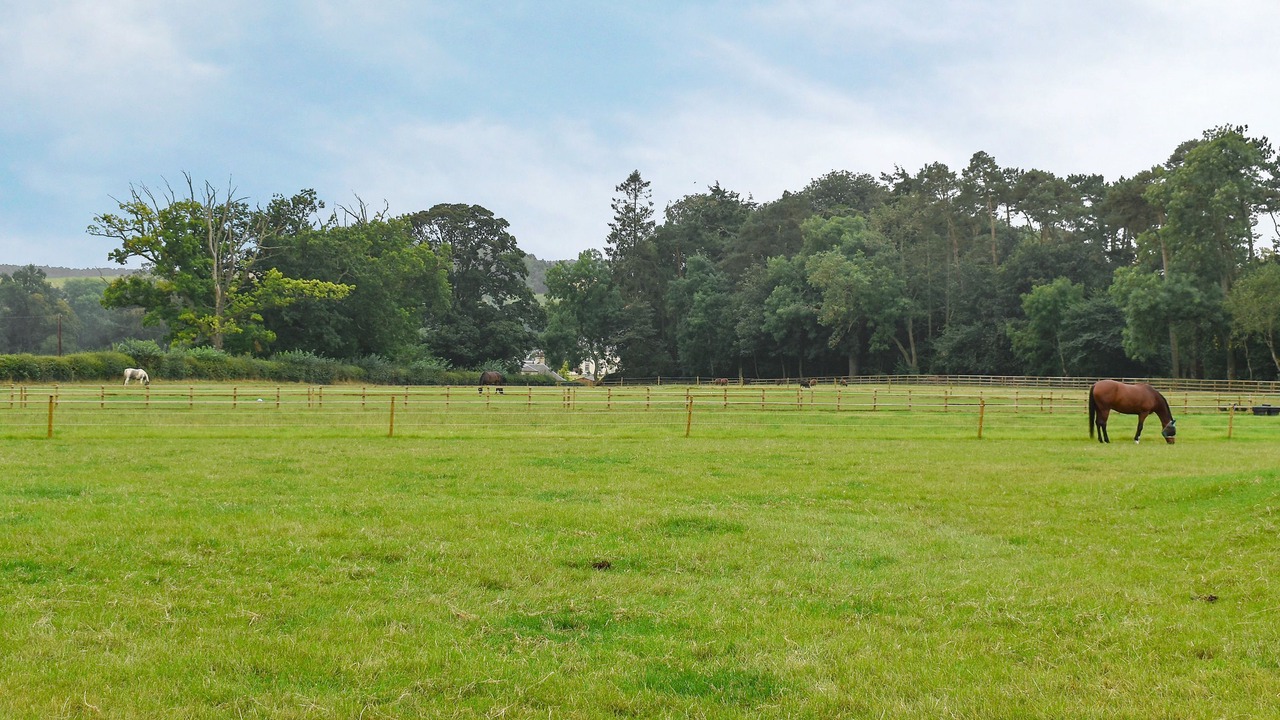Photo of Others in Nenthorn