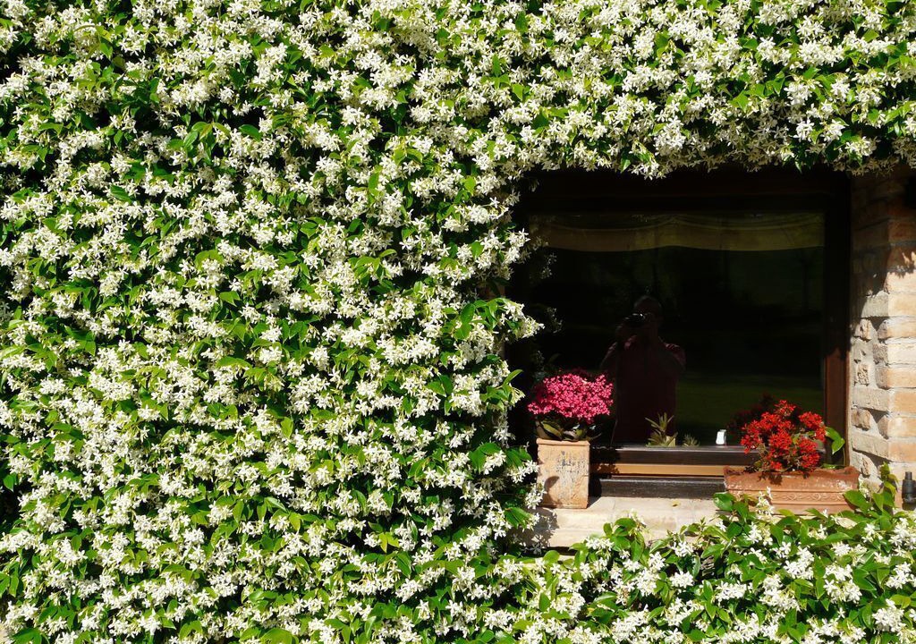 Photo of Outdoor in Santa Maria d'Alto Cielo