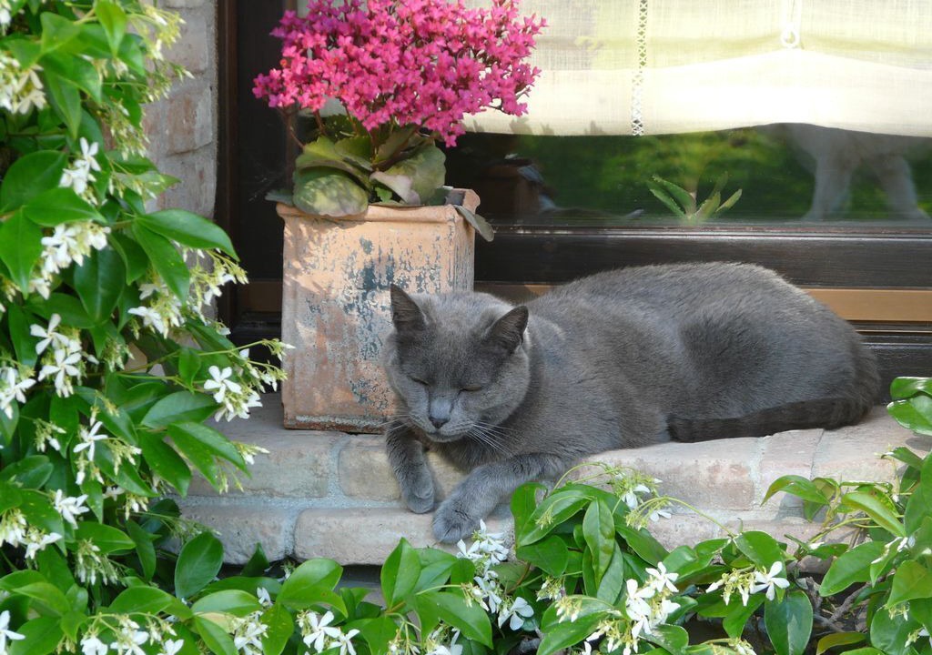 Photo of Outdoor in Santa Maria d'Alto Cielo