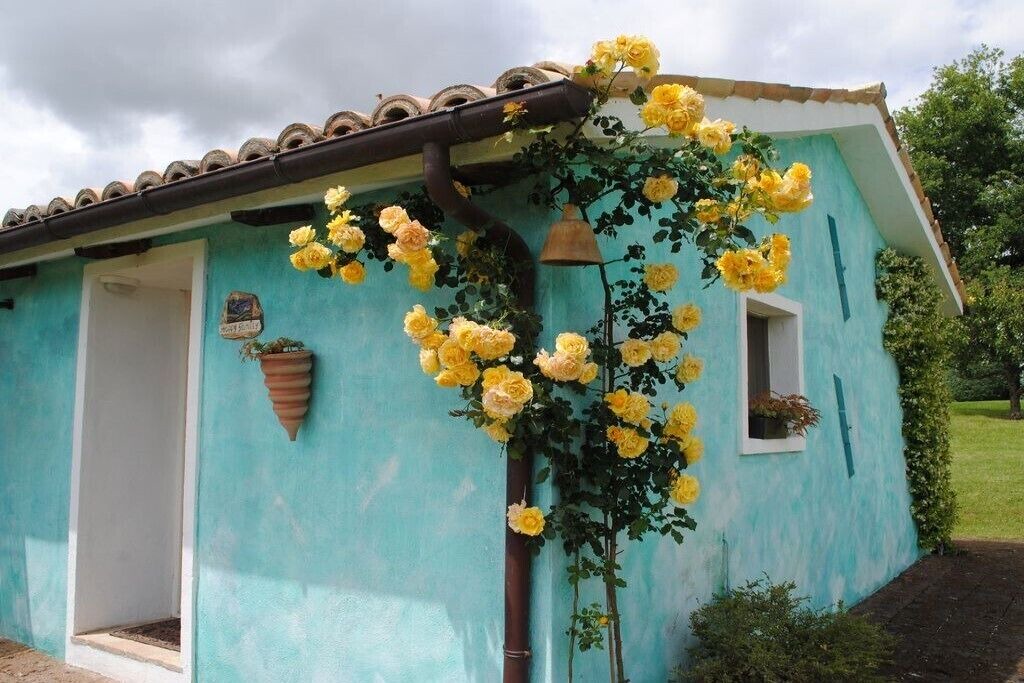 Photo of Outdoor in Santa Maria d'Alto Cielo