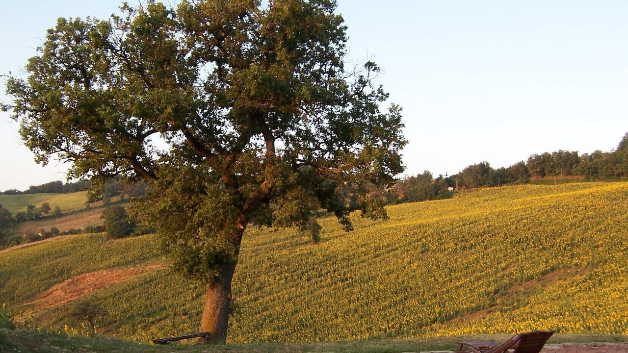 Photo of Outdoor in Santa Maria d'Alto Cielo
