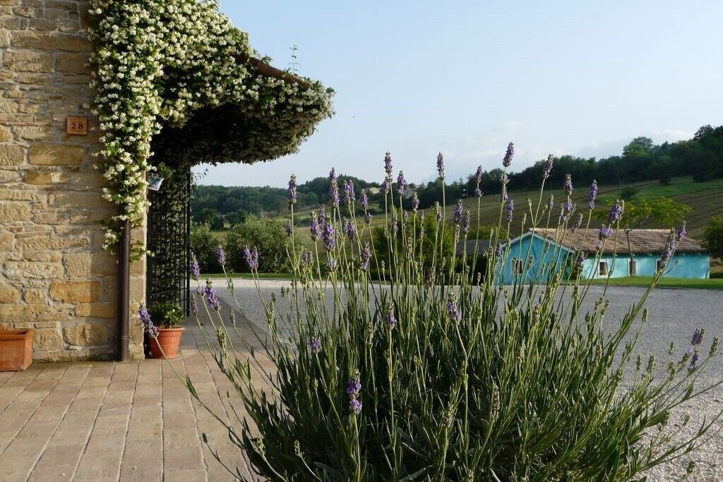 Photo of Outdoor in Santa Maria d'Alto Cielo