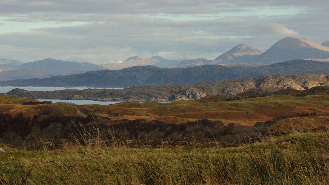 Photo of Others in Salen
