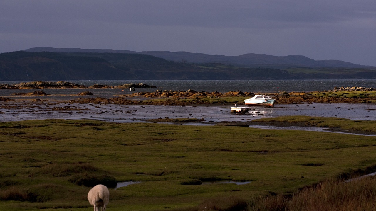 Photo of Others in Salen