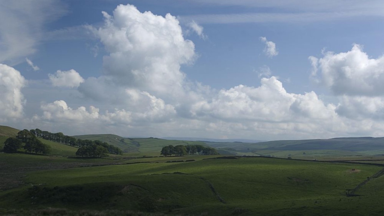 Photo of Others in Strathcarron