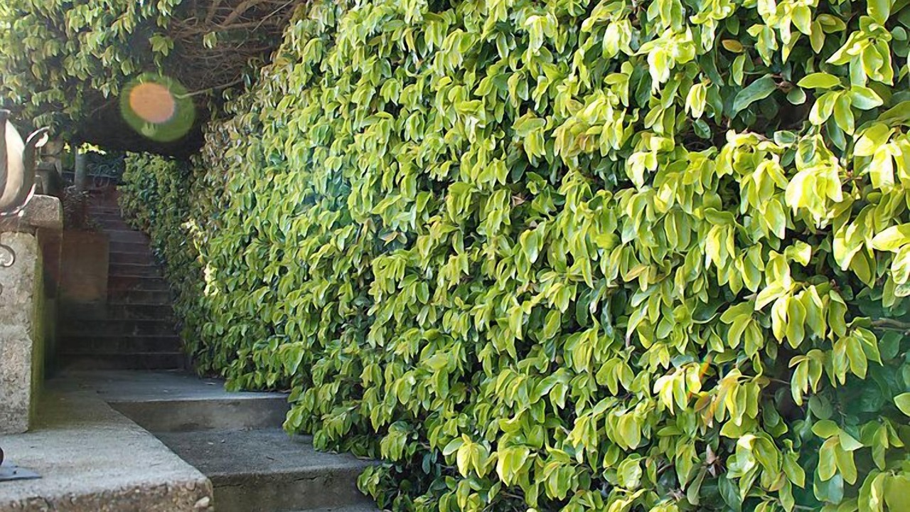 Photo of Outdoor in Lugano
