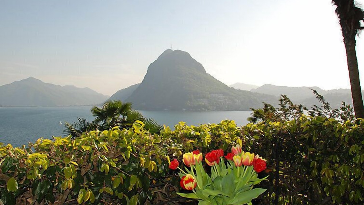 Photo of Others in Lugano