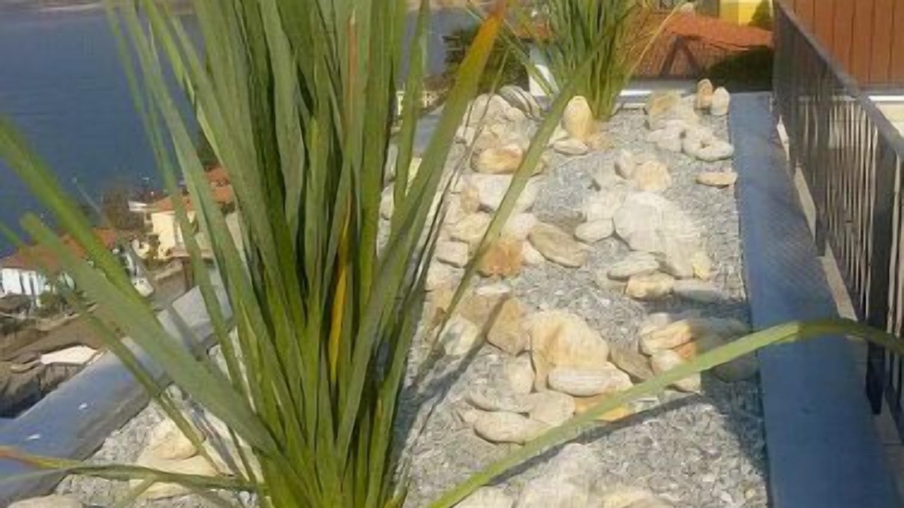 Photo of Outdoor in Vira