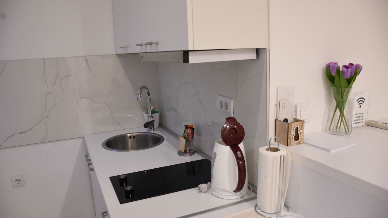 Photo of Kitchen in Slavija