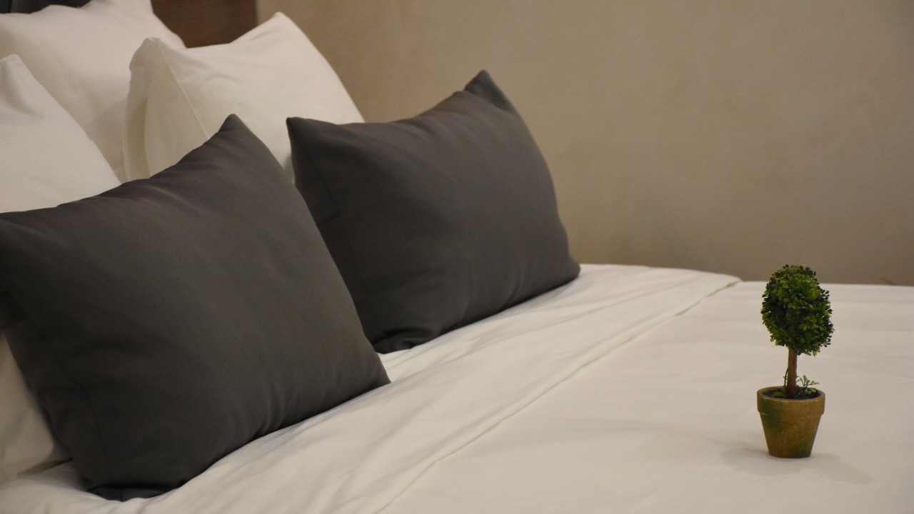 Photo of Bedroom in Slavija