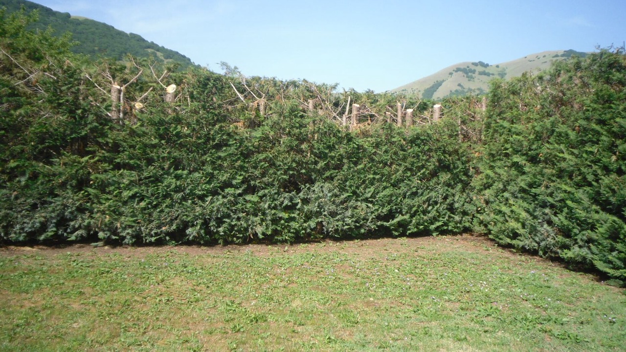 Photo of Outdoor in Cagnano Amiterno