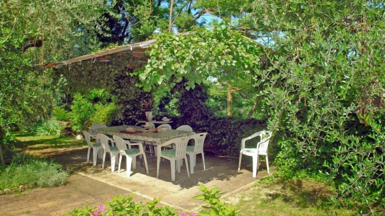 Photo of Others in Montopoli in Val d'Arno