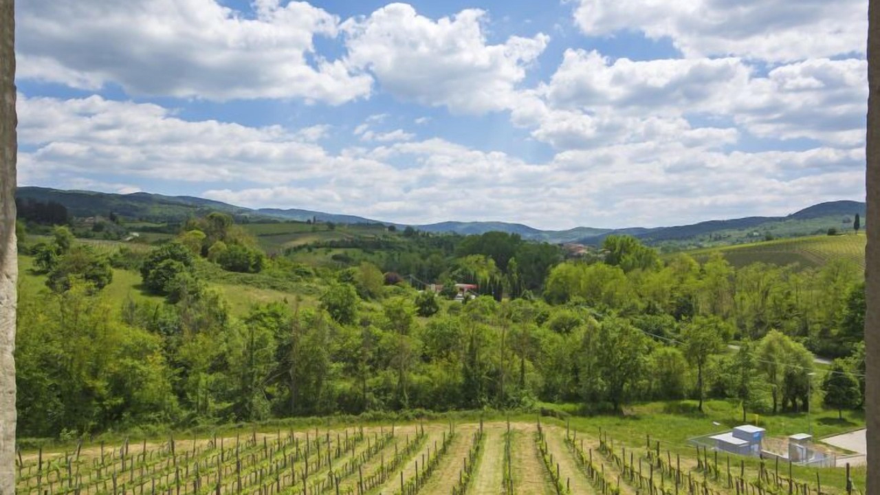 Photo of Others in Greve in Chianti
