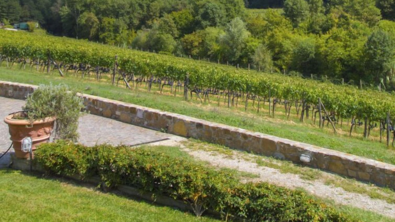 Photo of Others in Greve in Chianti
