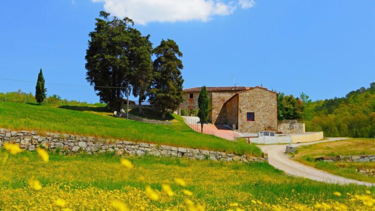 Photo of Others in Greve in Chianti