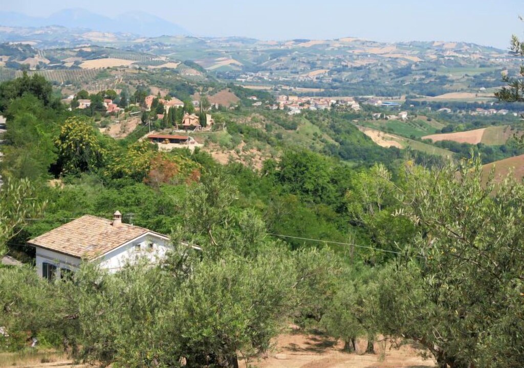 Photo of Others in Collecorvino