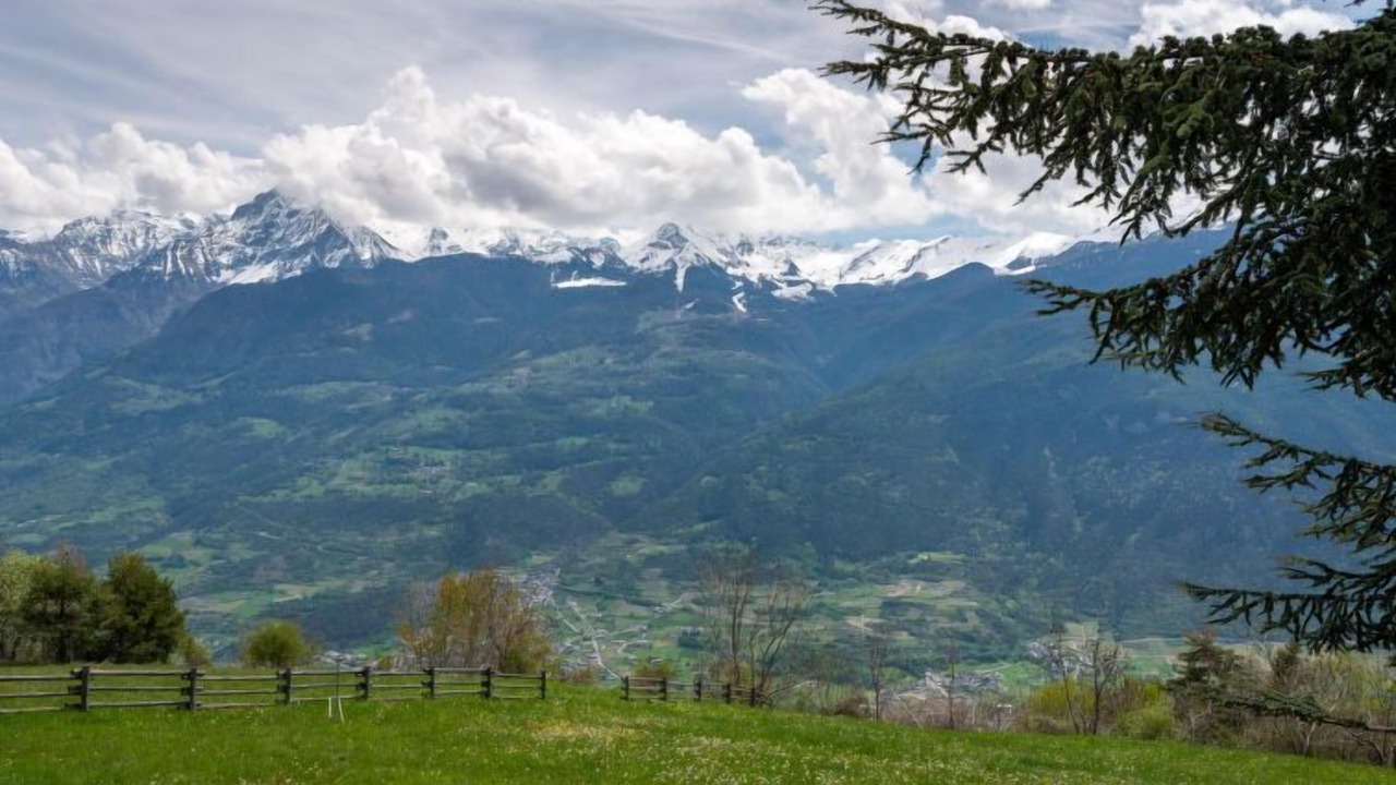 Photo of Others in Sarre