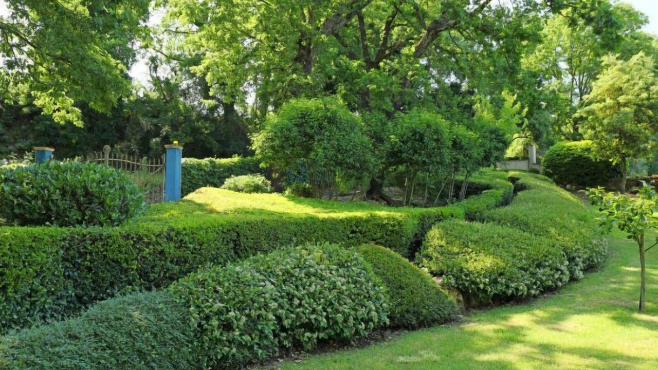 Photo of Outdoor in Penna in Teverina