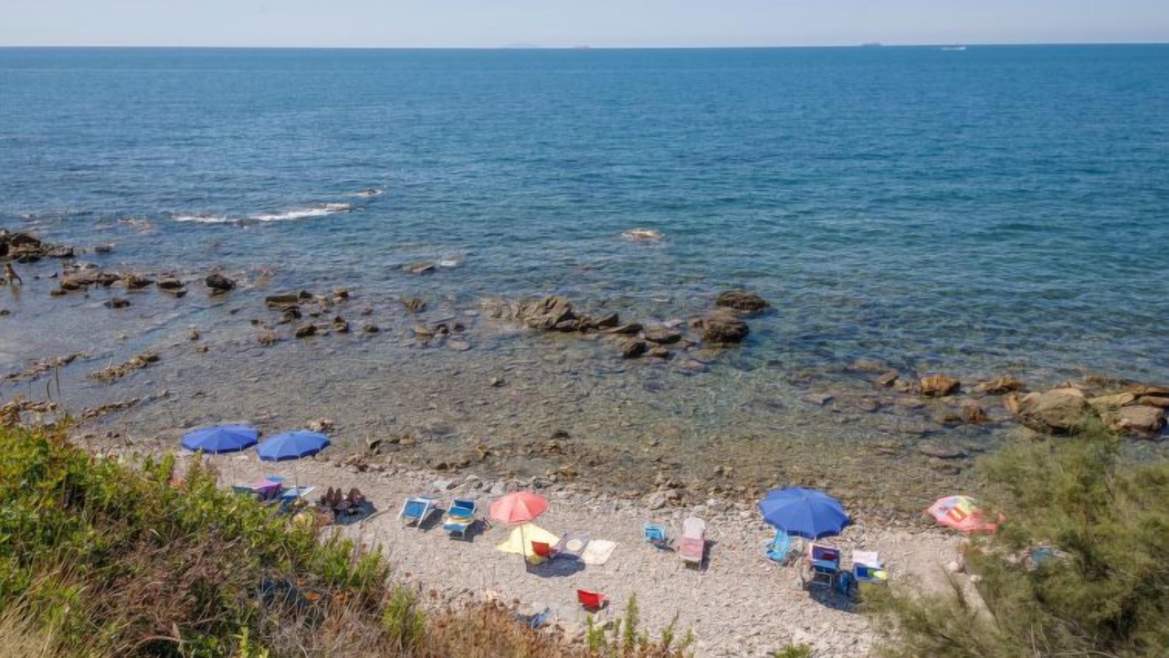Photo of Others in Livorno
