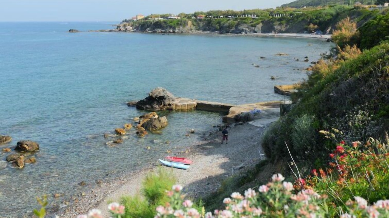 Photo of Others in Livorno