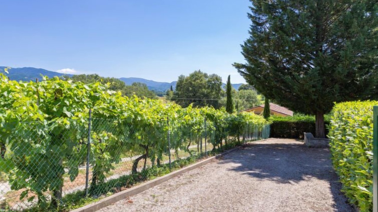 Photo of Outdoor in Vicchio