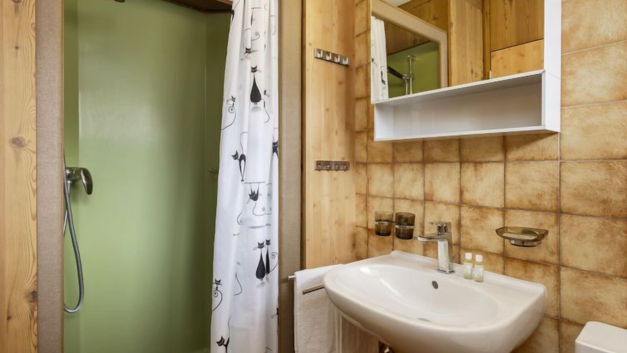 Photo of Bathroom in Breganzona