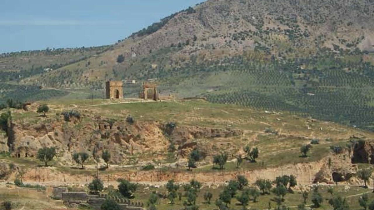 Photo of Others in Talaa