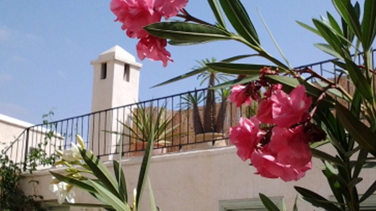 Photo of Outdoor in Talaa