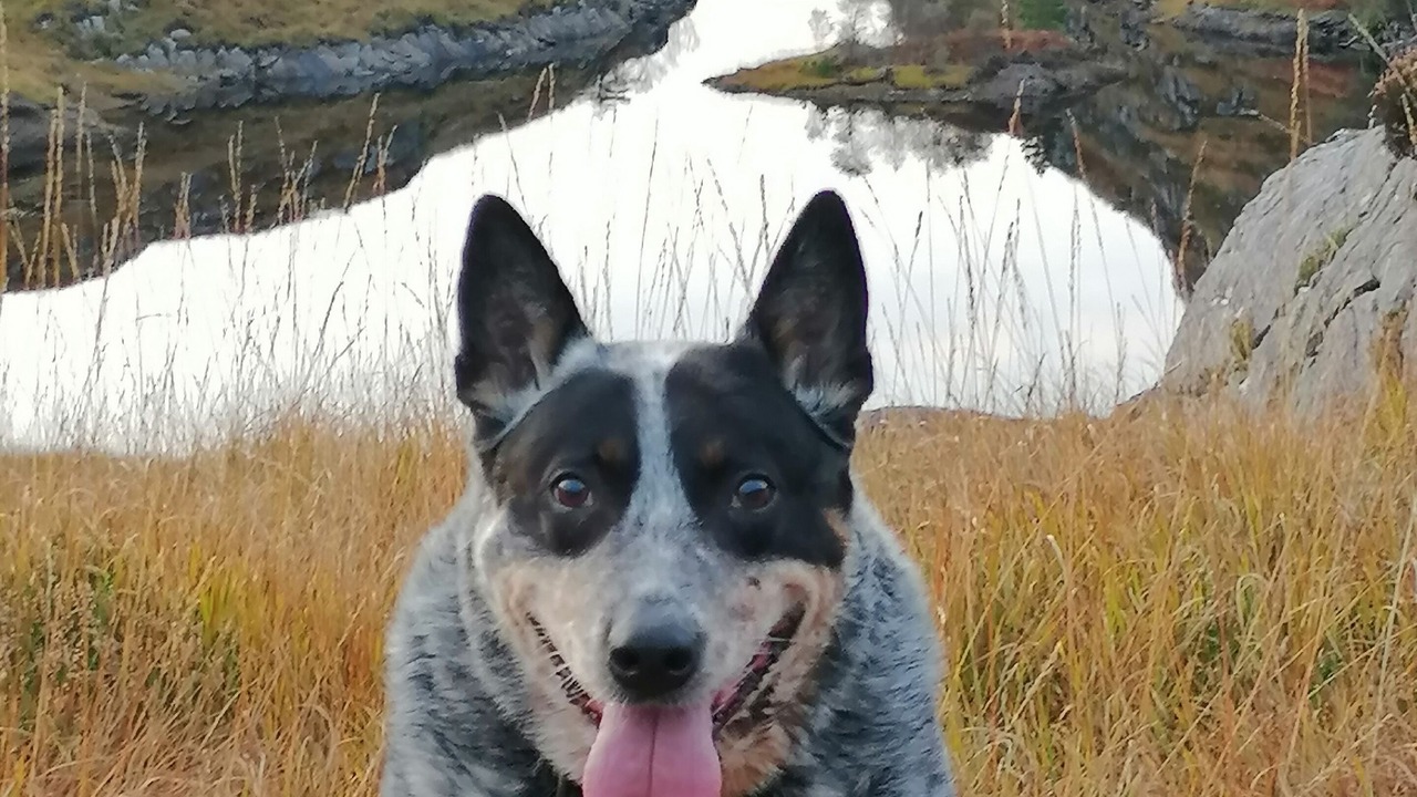 Photo of Others in Salen