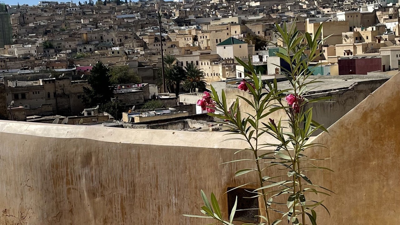 Photo of Others in El Mokhifa