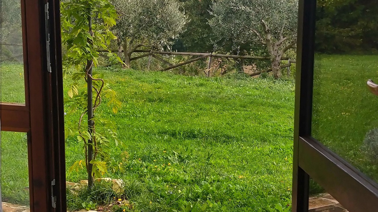 Photo of Others in Avacelli