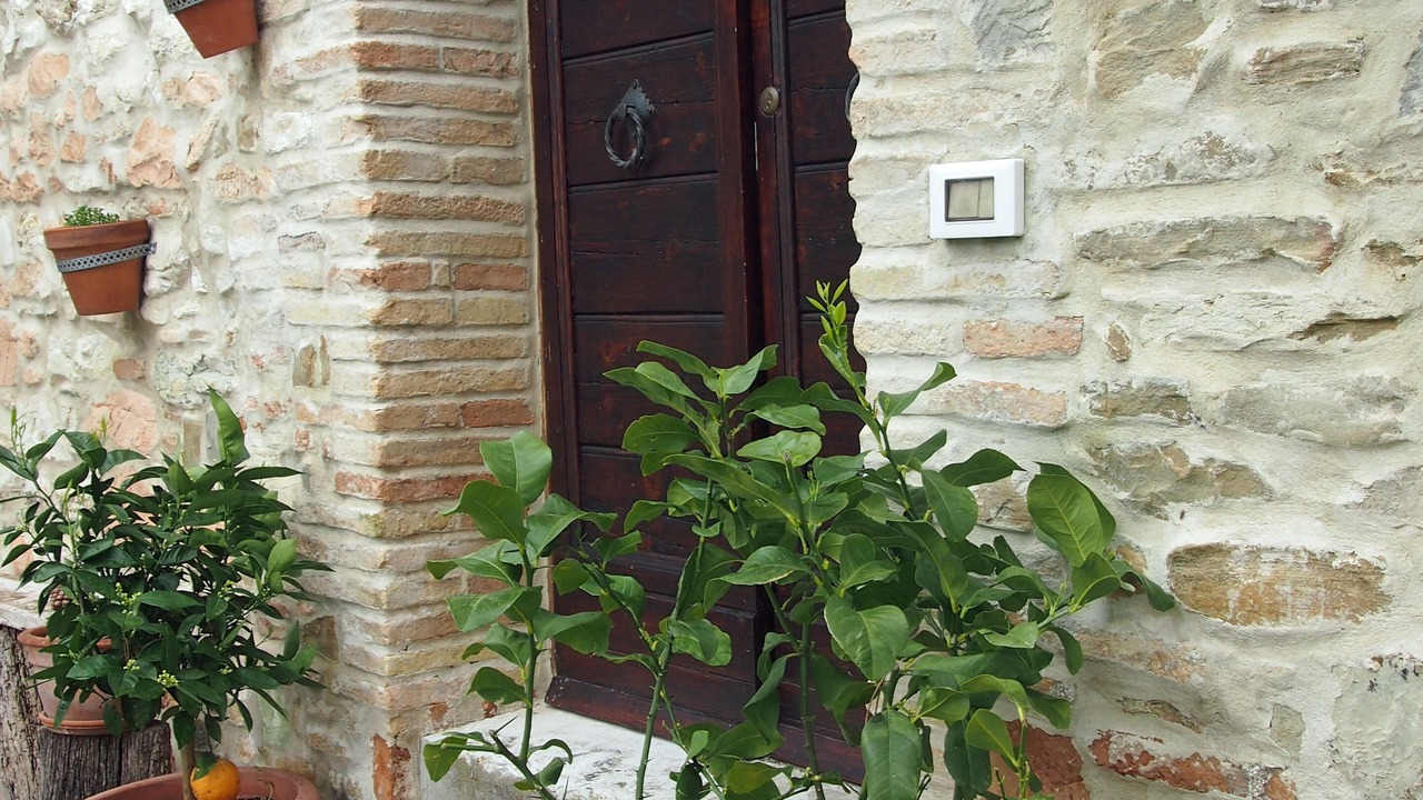 Photo of Outdoor in Avacelli