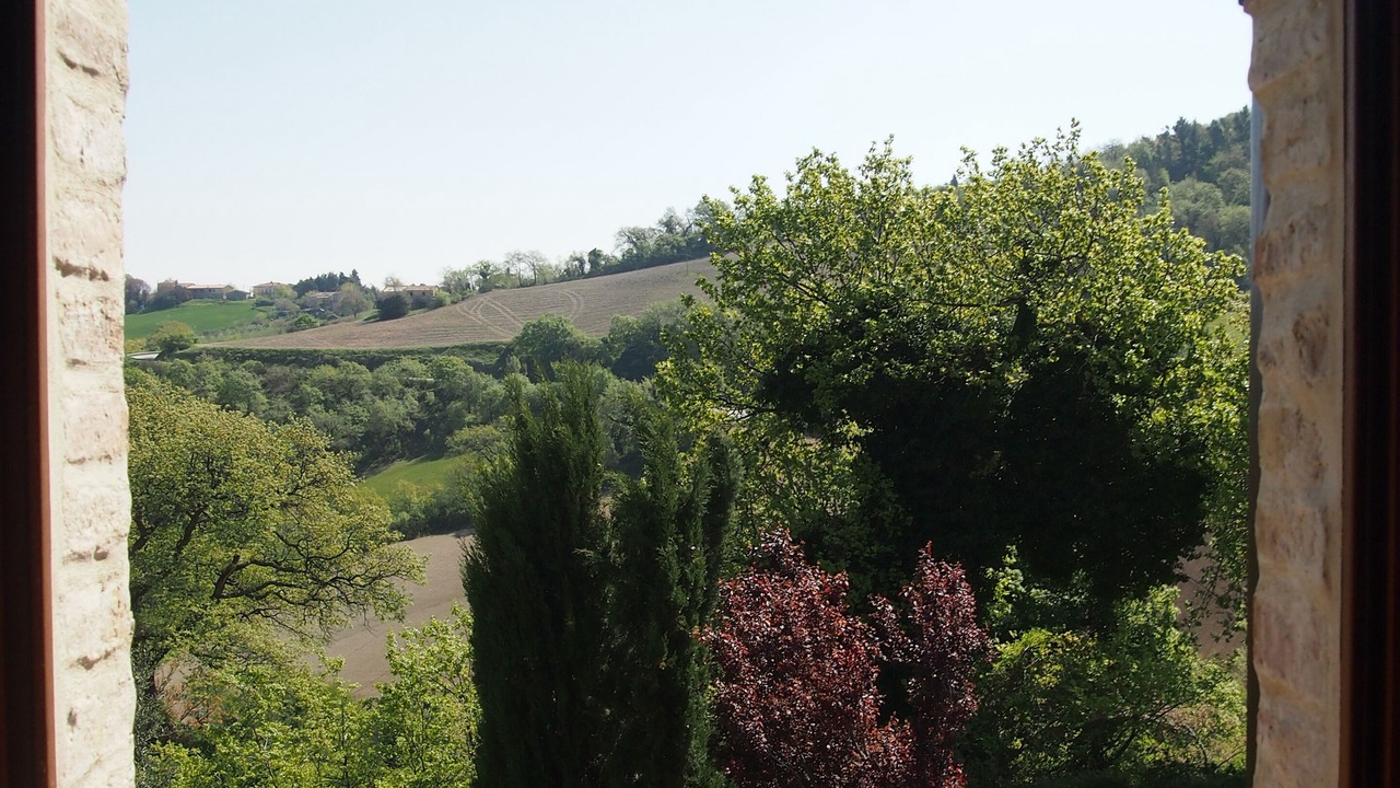 Photo of Others in Avacelli