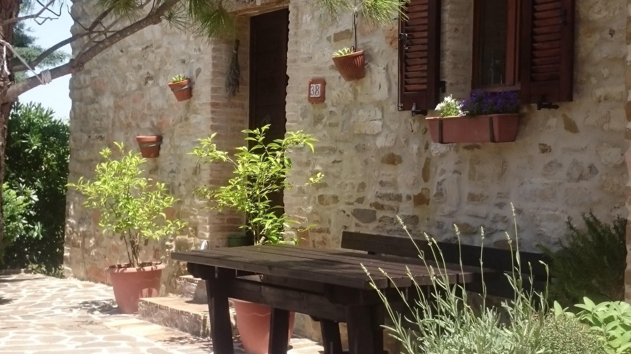 Photo of Outdoor in Avacelli