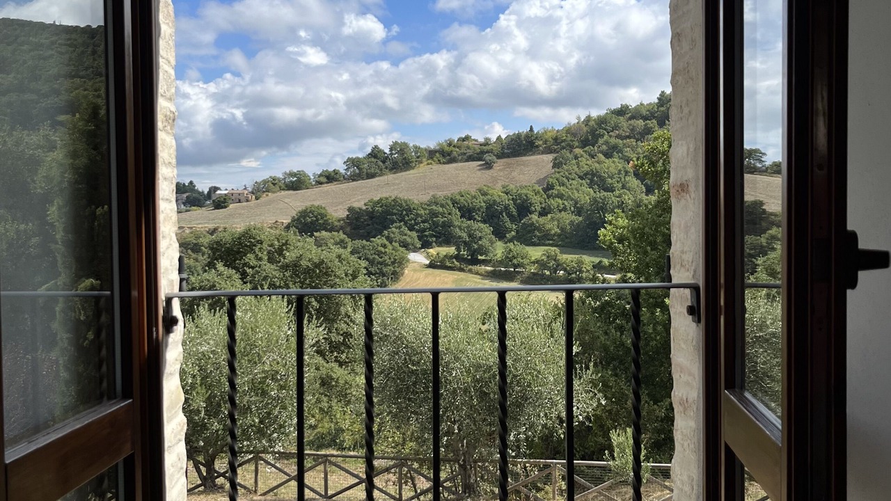 Photo of Others in Avacelli