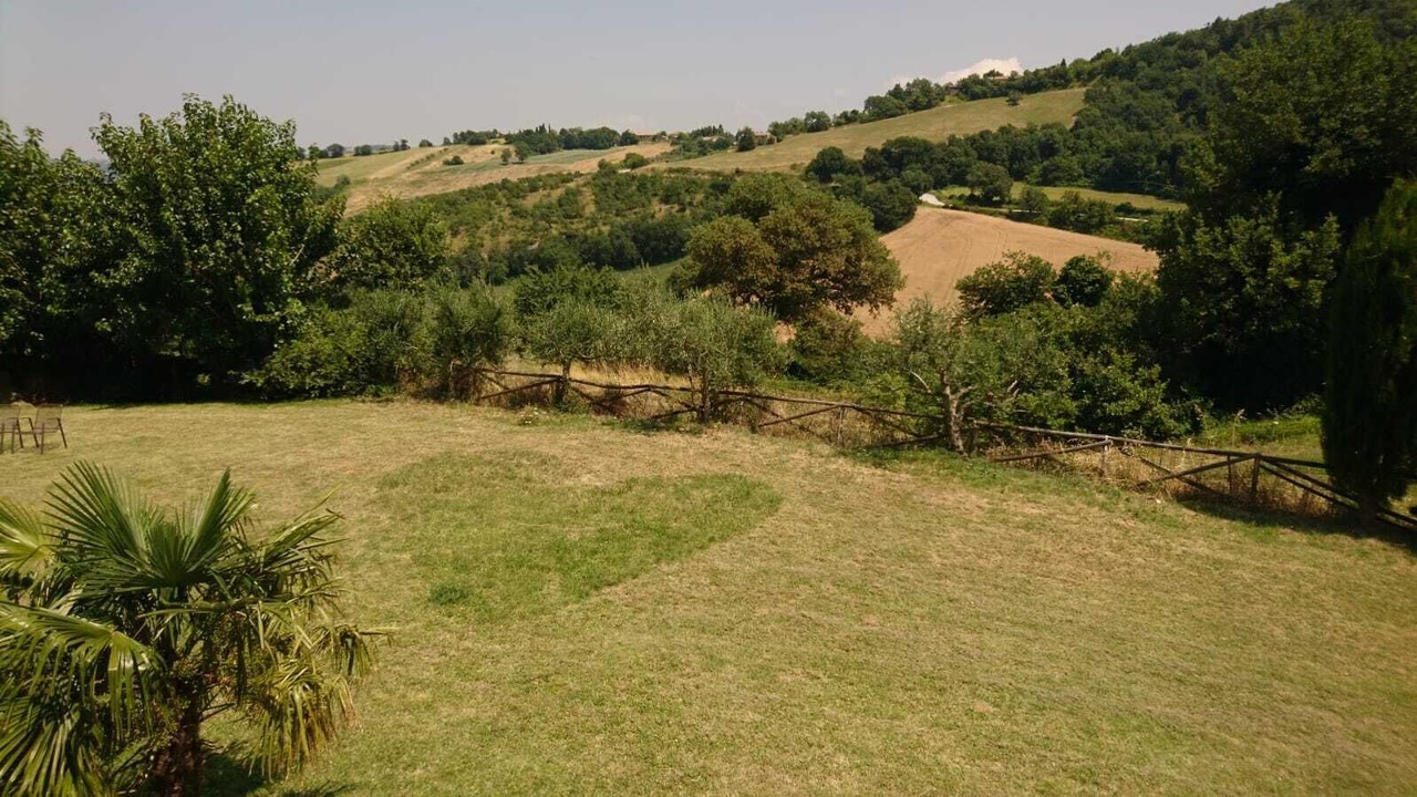 Photo of Outdoor in Avacelli