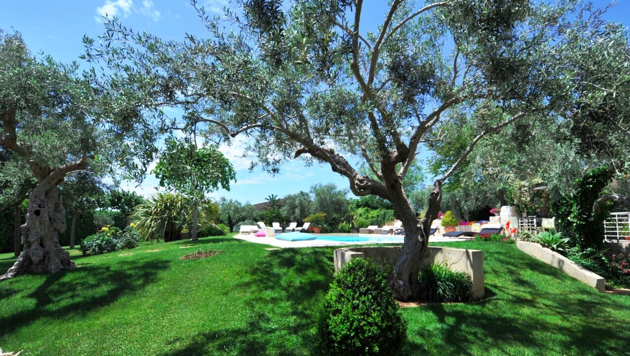 Photo of Outdoor in Michelica