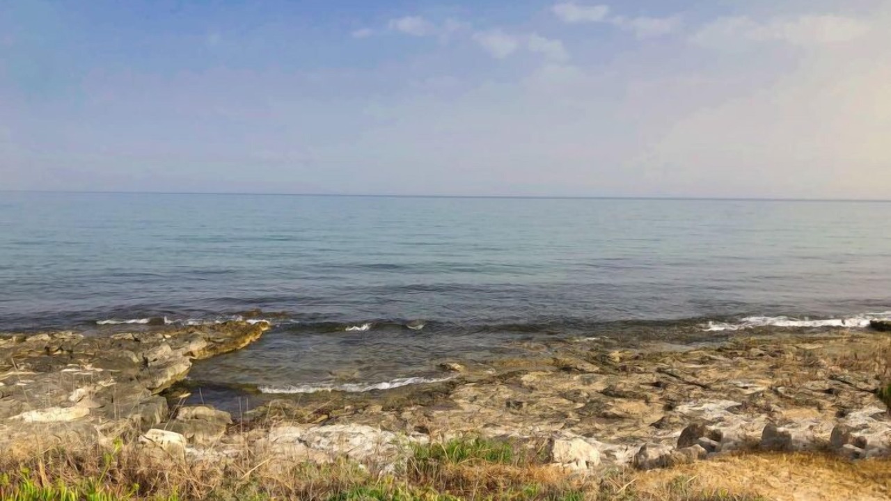 Photo of Others in Marina di Modica